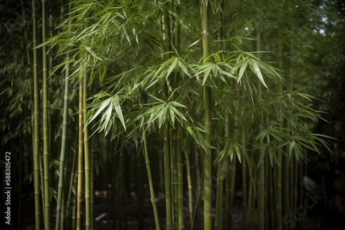  a tall bamboo tree with lots of green leaves on it's branches in a forest of tall bamboo trees with lots of green leaves on it's branches. generative ai
