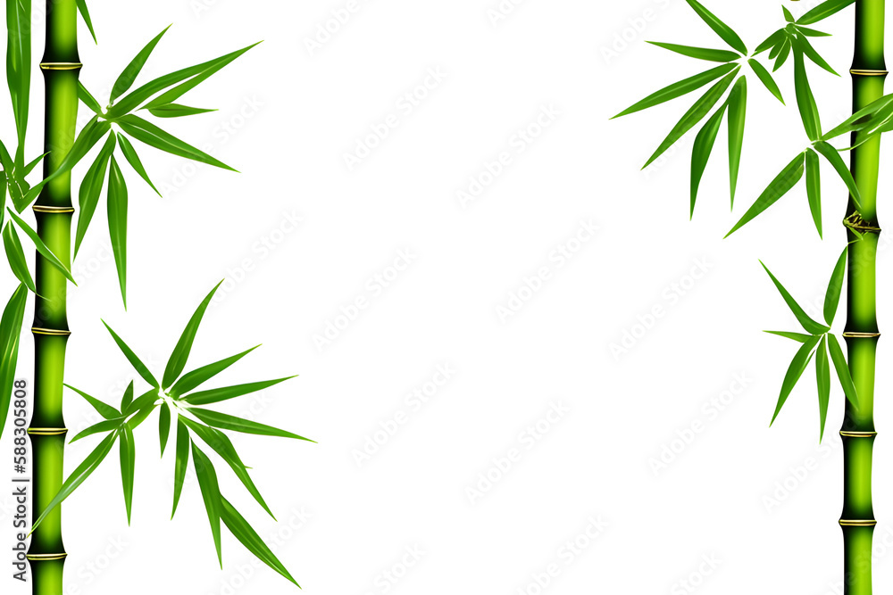 Bamboo Branches Isolated On White Background Bamboo Branches Isolated On White Background