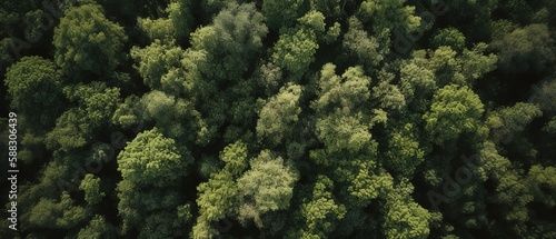 Beautiful bird's-eye view of the rainforest.Aerial view. Panoramic shot. Generative AI