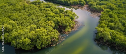 View from the height of the forest and the river in the middle of the forest.Aerial view. Panoramic shot. Generative AI