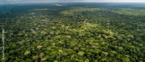 Beautiful bird s-eye view of the rainforest.Aerial view. Panoramic shot. Generative AI
