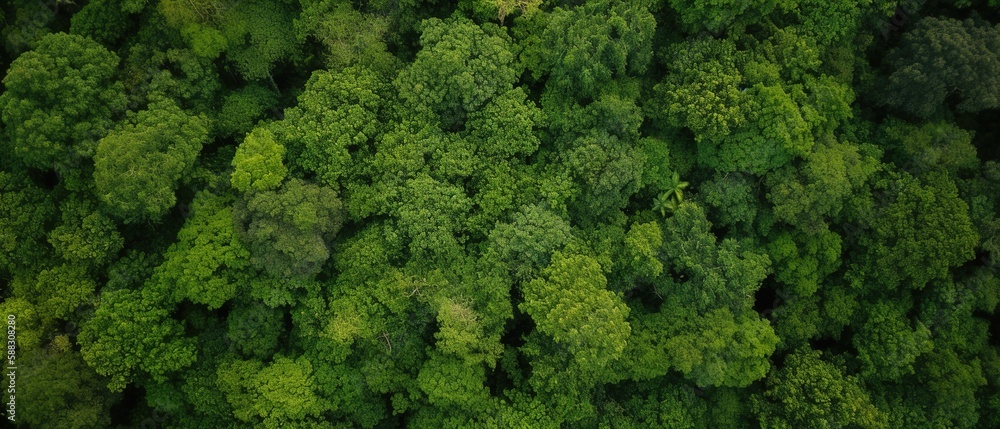 Beautiful bird's-eye view of the rainforest.Aerial view. Panoramic shot. Generative AI