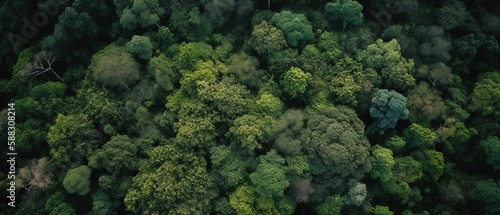 Beautiful bird's-eye view of the rainforest.Aerial view. Panoramic shot. Generative AI