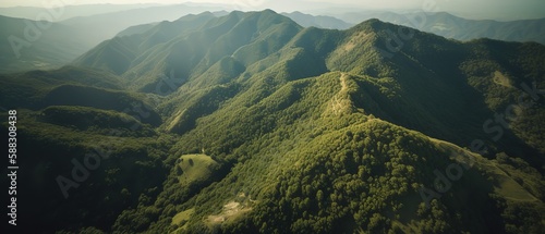 A view from a height of a mountain peak with green trees in the fog.Aerial view. Panoramic shot. Generative AI