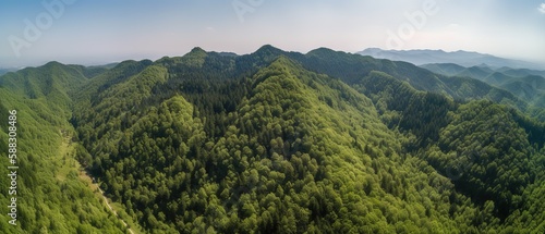 A view from a height of a mountain peak with green trees in the fog.Aerial view. Panoramic shot. Generative AI © ZinetroN