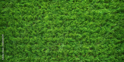 Wallpaper Mural Artificial Grass Field Top View Texture Torontodigital.ca