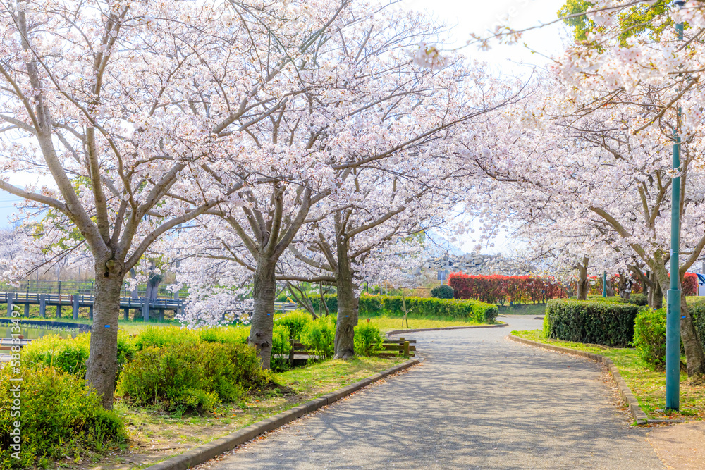 春の駕与丁公園　福岡県糟屋町　
Kayoicho Park in spring. Fukuoka Pref, Kasuya town.