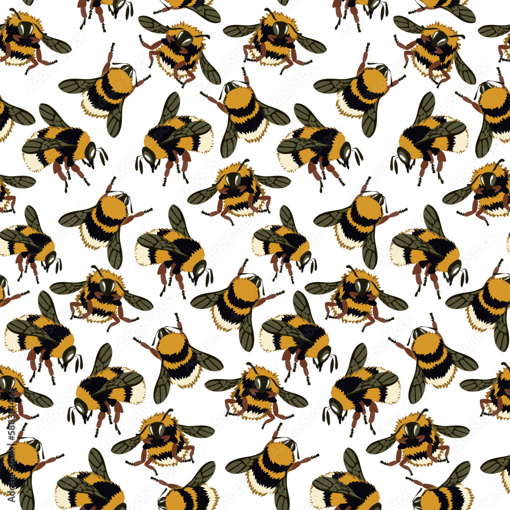 Obraz premium A pattern with an image from a honey bee. Fluffy bees, bumblebees in different poses fly on a white background. natural background with bees. Large and small insects. Printing on textiles and paper