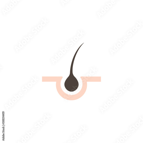 Epidermis. HJair follicle. Pore. Hair growth cycle. Simple skin and hair icon.