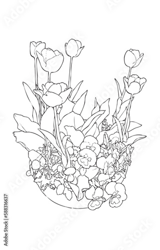 チューリップの寄せ植え鉢の線画