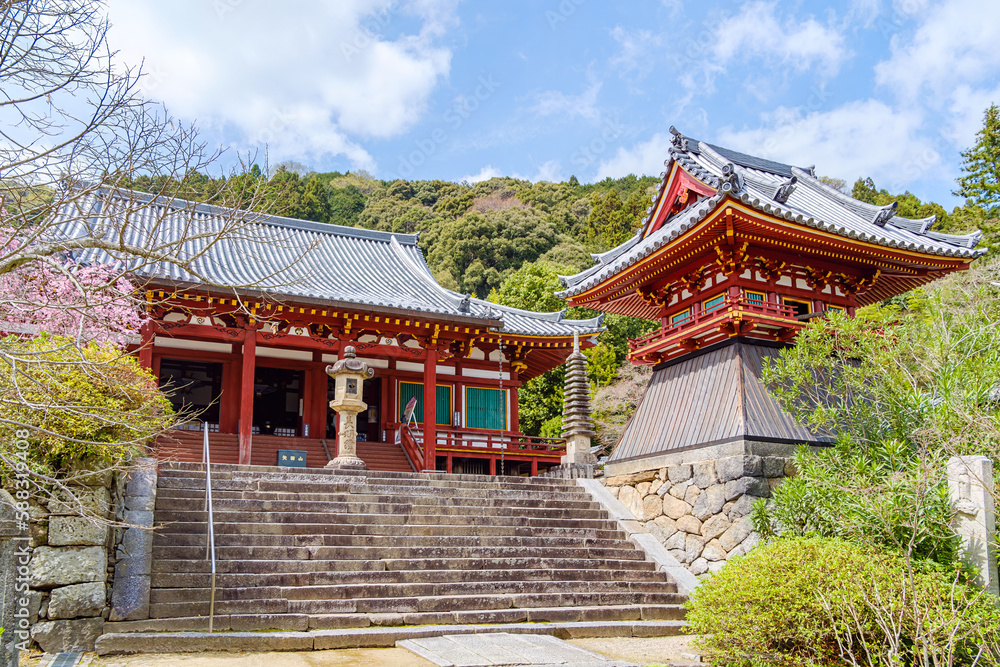 【奈良県】大和郡山市 矢田寺(金剛山寺)  (2023/03/27撮影)