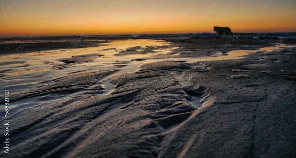 Fototapeta premium Nahaufnahme des Watts der Nordsee während im Hintergrund nach Sonnenuntergang der Horizont in Flammen steht