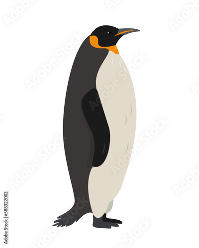 Big Emperor or King penguin  bird of Antarctica. Penguin icon isolated on white background. Flat or cartoon nature animal vector illustration.