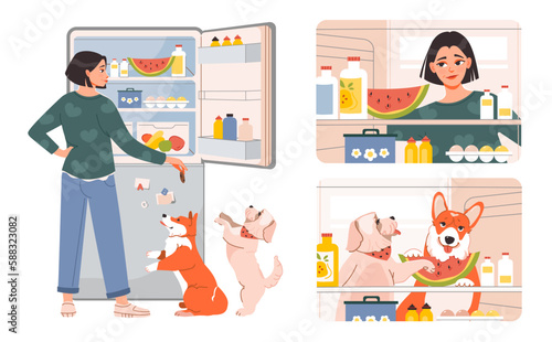 Pet owner. The woman opened the fridge with food and feeds the pets. Hungry woman checking refrigerator with food. Dogs choose food in the refrigerator. Flat vector illustration.