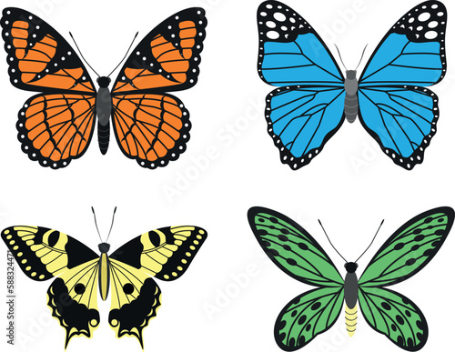 Bright types of butterflies, vector illustration