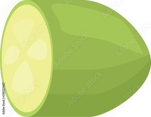 Half vegetable marrow icon cartoon vector. Zucchini squash. Garden food