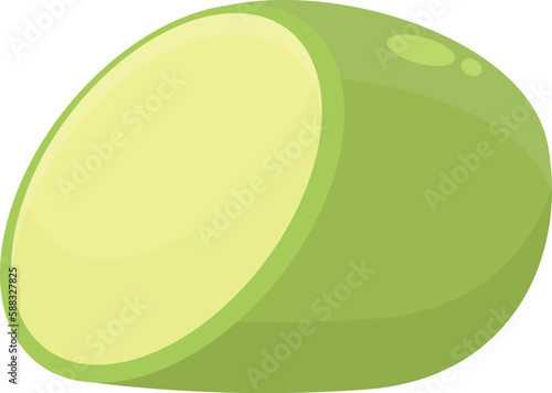 Raw zucchini icon cartoon vector. Vegetable squash. Nature salad