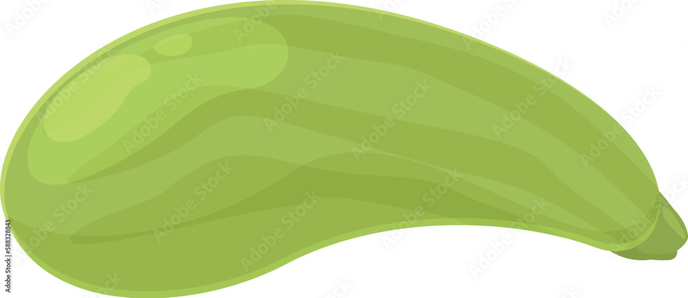 Harvest product icon cartoon vector. Vegetable zucchini. Food garden