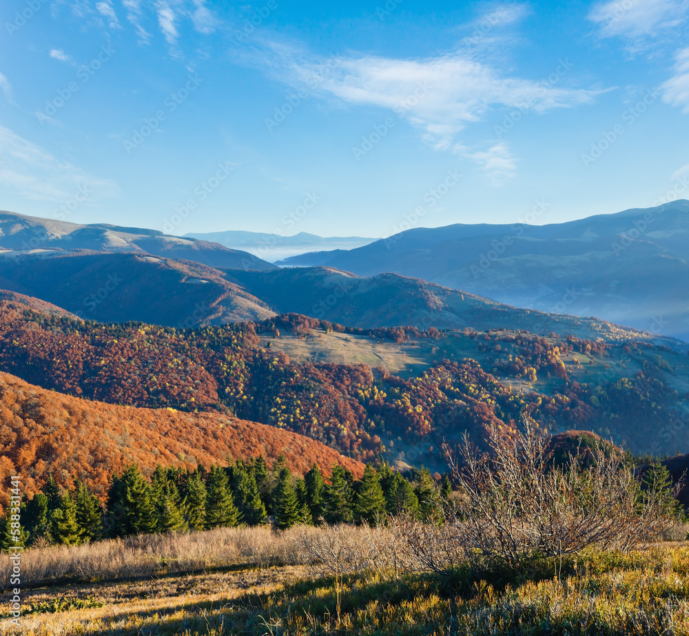 Naklejka premium Morning fog in autumn Carpathian.