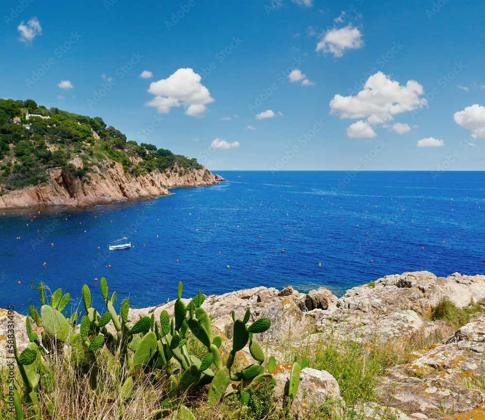 Summer sea coastline landscape with cactuses (Opuntia) in front. Summer sea coastline landscape with cactuses (Opuntia) in front.