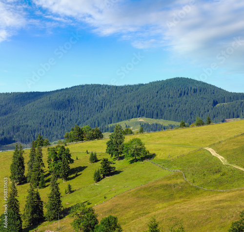 Summer mountain country landscape with rural road (Carpathian, Ukraine).