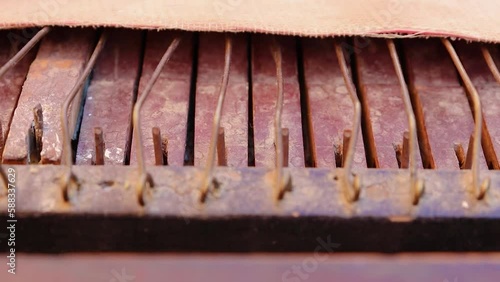 local artist plying reed organ colse up shot at day from different angle photo