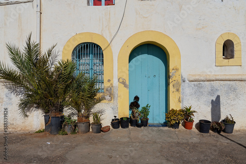 Blue door, traditional blue entrance door to a residential house in Morocco with round arch and many plants.