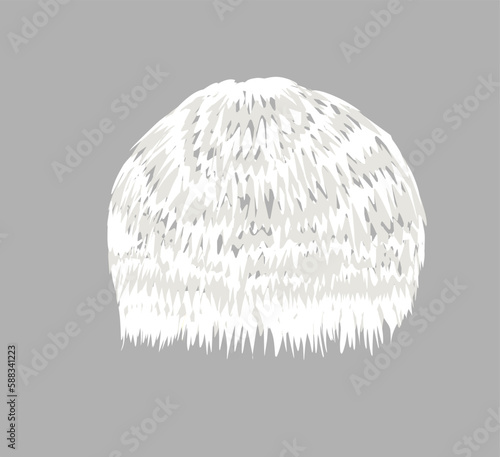 vector illustration of Lion's mane mushroom (Hericium erinaceus), an edible and medicinal plant.