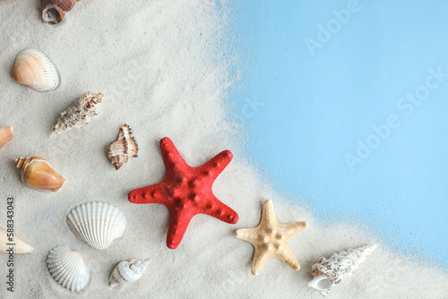 Seashells  Starfish and corals on blue background  top view  copy space. Summer vacation or holiday concept