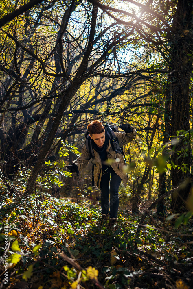 while hiking a person is making through the branches in the woods while hiking a person is making through the branches in the woods