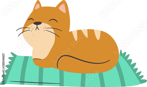 Cat Lying On Mat