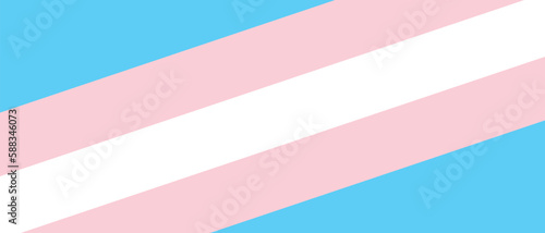 Transgender community color palette on the white background, concept of a pride and identity of trans people