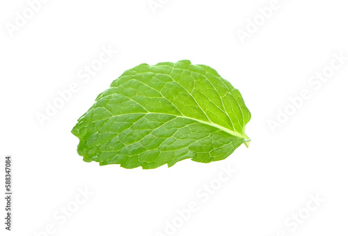 mint leaf isolated on transparent png