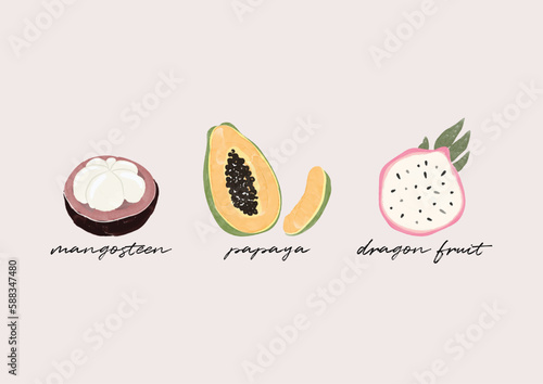 summer tropical fruit mangosteen, papaya, dragon fruit