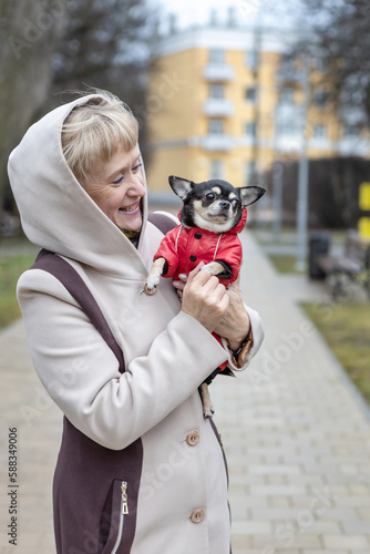 adult woman on a walk in the park holds her chihuahua dog in her arms in early spring