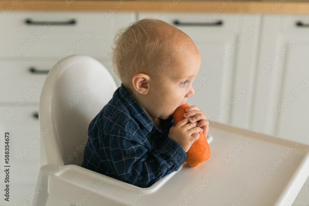 Little boy in a blue t-shirt sitting in a child's chair eating carrot - baby care and infant child feeding concept Little boy in a blue t-shirt sitting in a child's chair eating carrot - baby care and infant child feeding concept