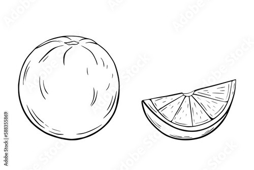 Orange and slice. Black and white vector illustration, sketch, pen and ink, freehand line drawing for logos, patterns, food design. On a white isolated background