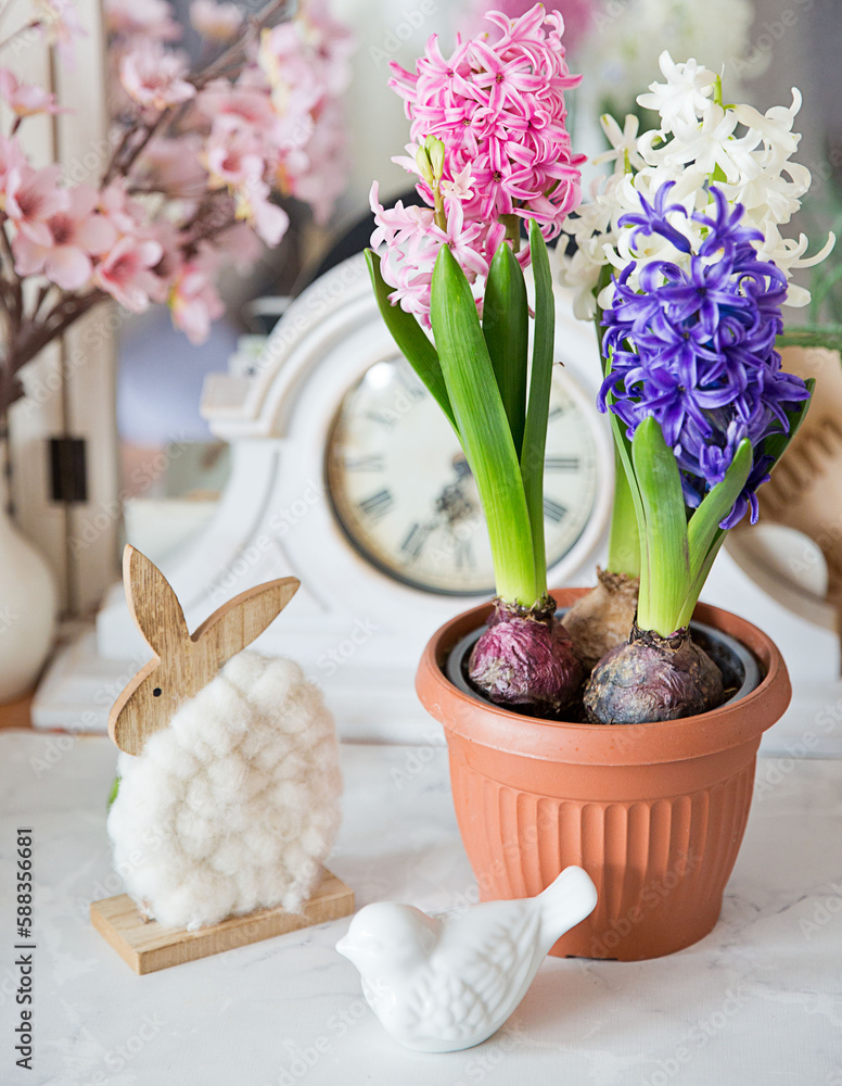 decoration of spring hiacint in the easter time