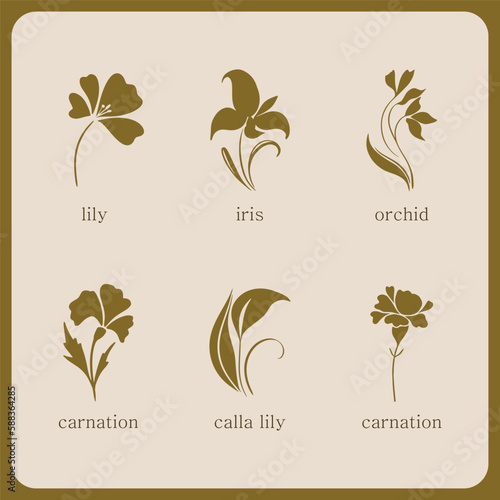 Set of vector floral logo. Premade botanical logo design for photographer, floral boutique, beauty industry. Aesthetic feminine logo set