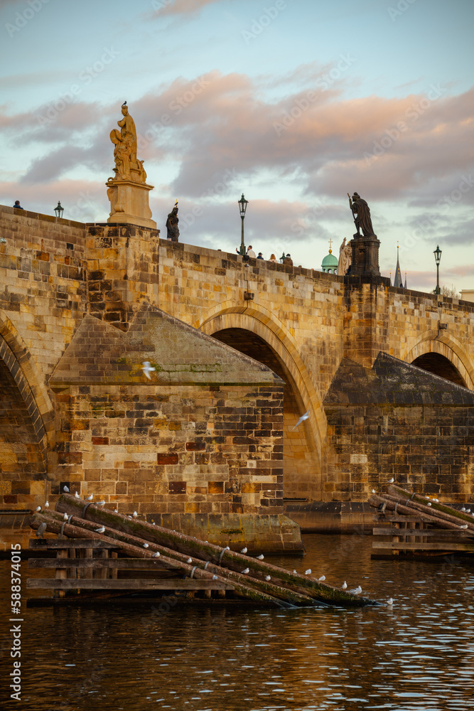 Obraz premium landscape with Karlov most