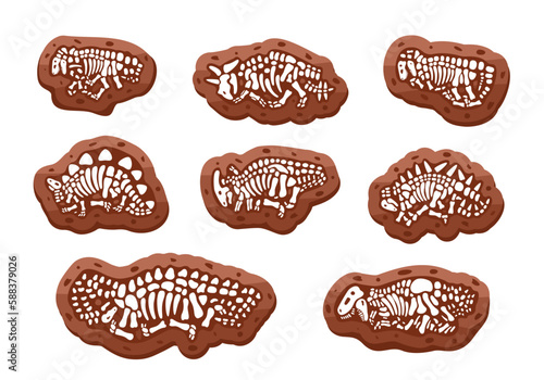 Dinosaur fossils skeletons. Triceratops, Tyrannosaurus, Kentrosaurus, Brahiosaurus, Velociraptor, Stegosaurus, Parasaurolophus. Paleontology