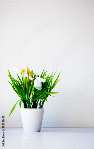 Background flower and plant