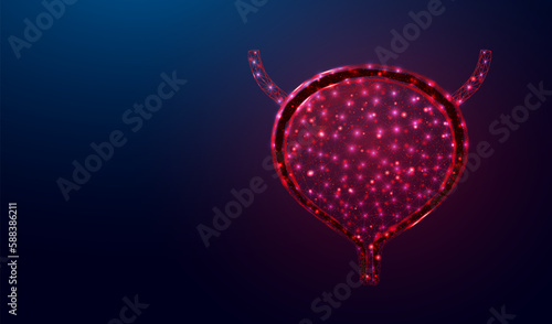 Human bladder. Design element for medical concept, bladder cancer, cystitis, human excretory system. Wireframe low poly style. Abstract vector illustration on dark blue background