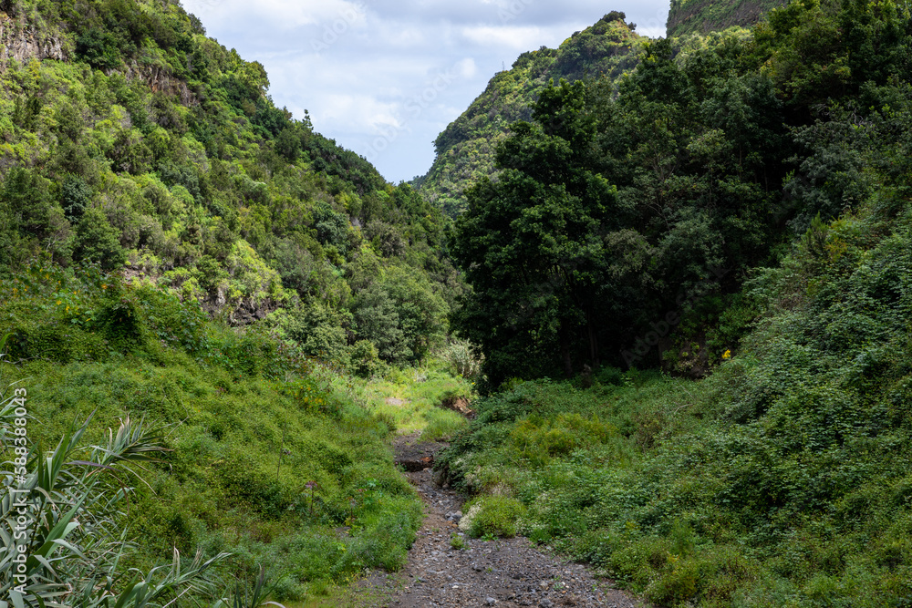La Palma Island. Cubo de La Galga Trail. Tropical Exotic Landscape of La Palma. Canary Islands, Spain. La Palma Island. Cubo de La Galga Trail. Tropical Exotic Landscape of La Palma. Canary Islands, Spain.