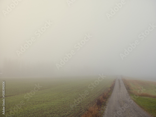 Photography a foggy road in the middle of a field