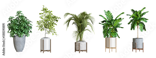 Plants in 3d rendering. Beautiful plant in 3d rendering isolated 
