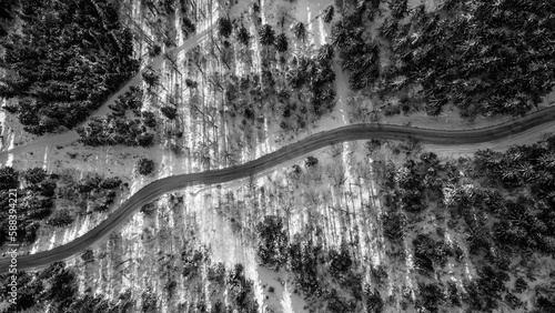 Black and white drone top down on the road and a forest. A bird's eye view of the snowy landscape with the sun shining. Taken on the Jested Ridge in Liberec Region. 
