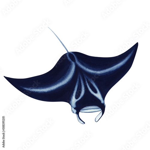 Watercolor illustration of manta ray on a white background. Suitable for postcards, wallpaper, gift paper. Hand drawn