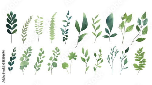  A Branch  Limb  Leaf  Leaves  of Grenn Tropical Tree  Fern  Eucalyptas  Herbs and Others Foliage  in Set of Watercolor Vector Style