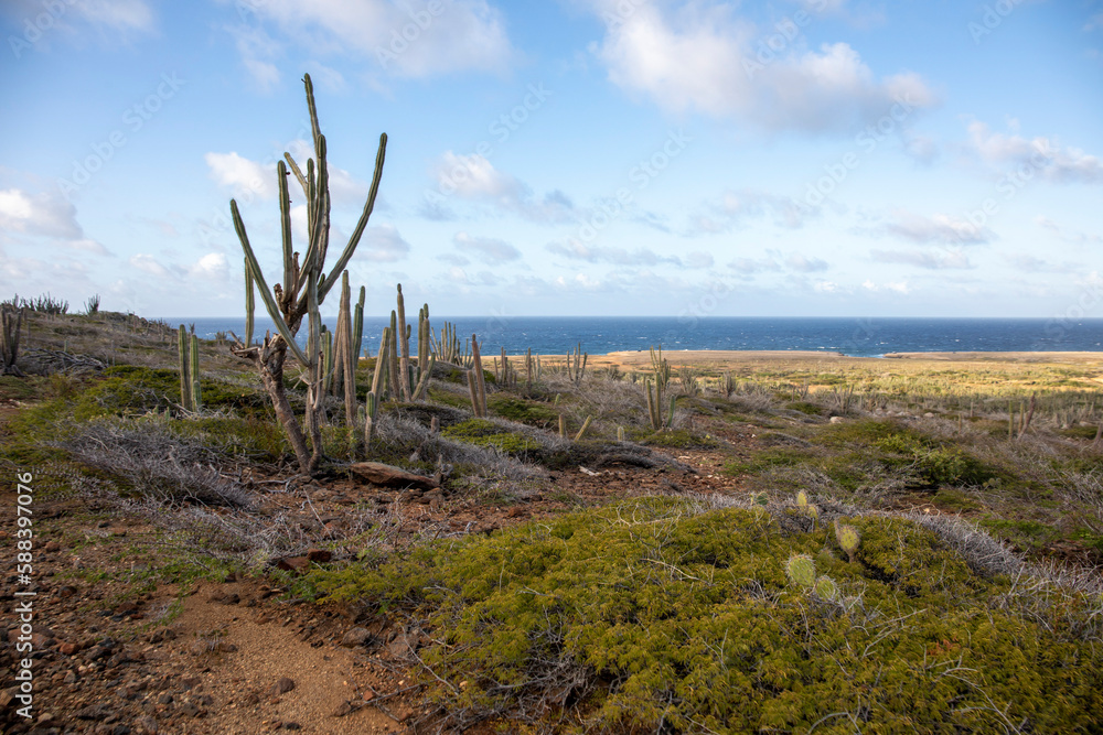 Landscape Aruba